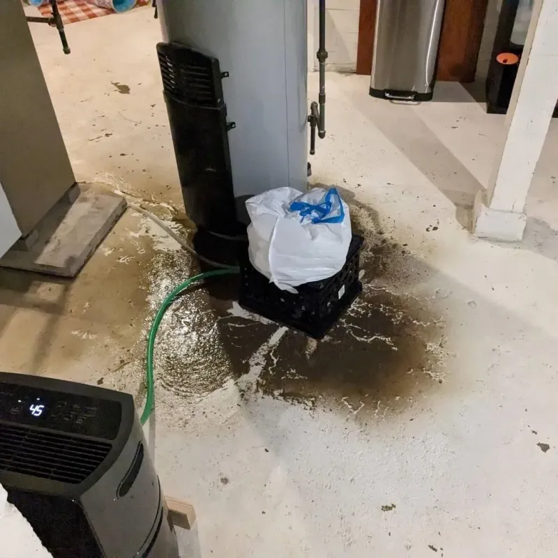 Sewage Backup Cleanup Service in Reed Creek, GA